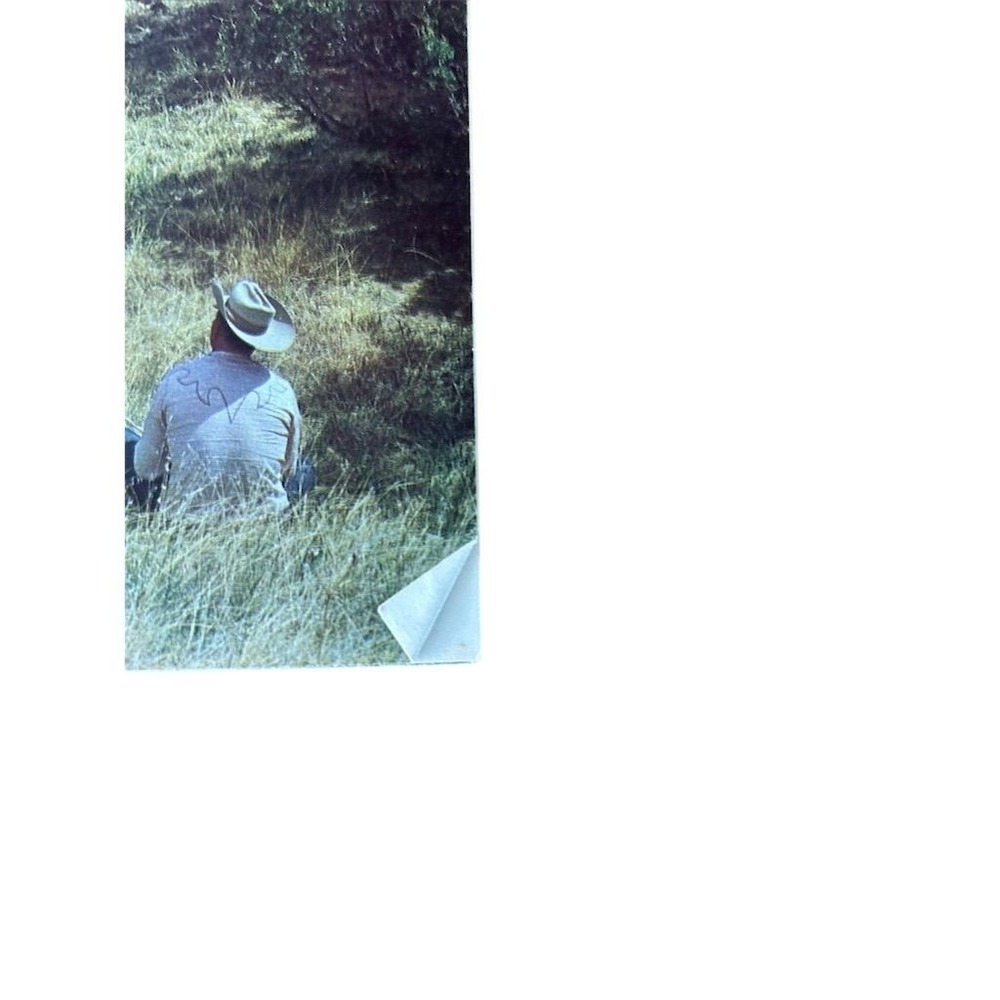 AQHA Training Riding Horses Booklet Unisex OS Blue Vintage Western Guide - Picture 9 of 11